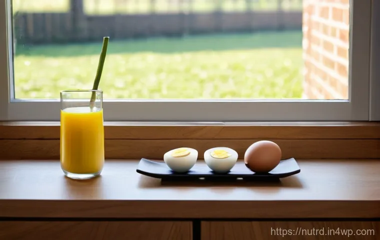 세로토닌을 위한 건강한 아침 메뉴 - **Prompt 2: Mental clarity and focus after a nourishing breakfast.**
    A person (adult, gender-neu...