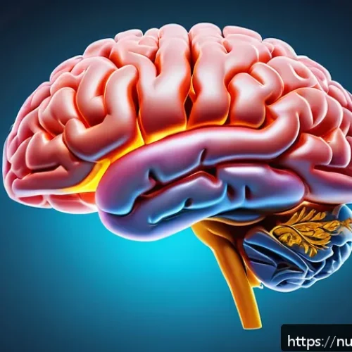 Home 30 세로토닌과 유전자의 관계 - A detailed scientific illustration of the human brain highlighting the serotonin