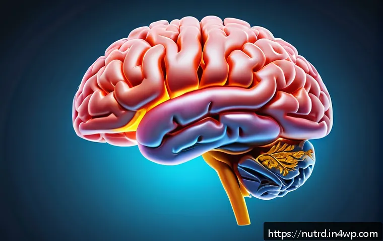 세로토닌과 유전자의 관계 - A detailed scientific illustration of the human brain highlighting the serotonin